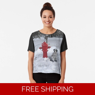 Le Studio Chiffon Top Rush Signals Monument Winter 2019 Le Studio Chiffon Top Rush Signals Monument Winter 2019